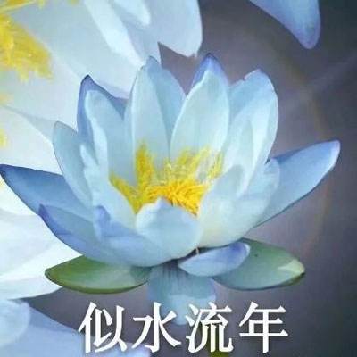 放置江湖公益服下载
