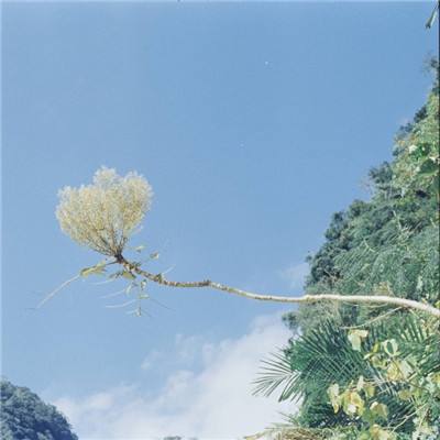 代号如梦令内购破解版下载